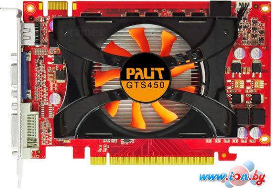 Видеокарта Palit GeForce GTS 450 1024MB DDR3 (NE5S4500HD01-1162F) в Могилёве