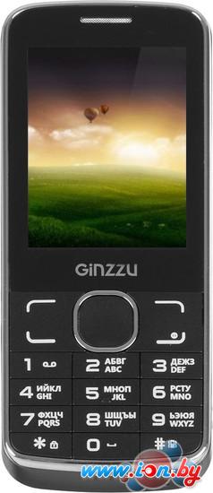 Мобильный телефон Ginzzu M101 Dual в Могилёве