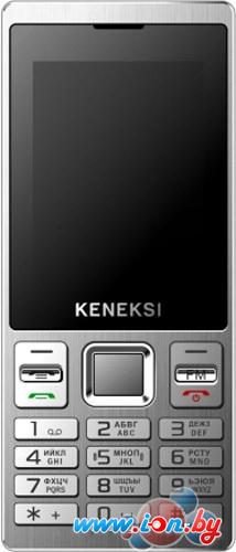 Мобильный телефон Keneksi X8 в Гродно