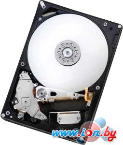 Жесткий диск Hitachi Deskstar NAS 4TB (H3IKNAS40003272SE) в Могилёве