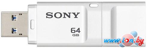 USB Flash Sony MicroVault Entry 64GB (USM64XW) в Бресте
