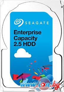 Жесткий диск Seagate Enterprise Capacity 2TB (ST2000NX0273) в Минске