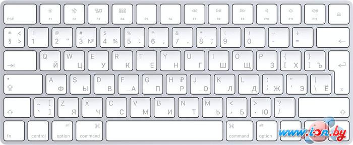 Клавиатура Apple Magic Keyboard [MLA22RU/A] в Минске