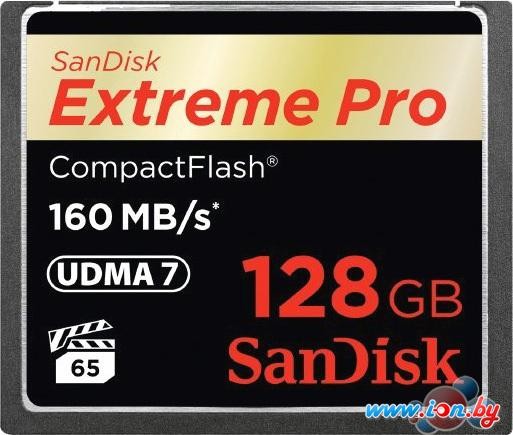 Карта памяти SanDisk Extreme Pro CompactFlash 128GB [SDCFXPS-128G-X46] в Могилёве