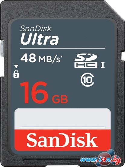 Карта памяти SanDisk Ultra SDHC Class10 16GB [SDSDUNB-016G-GN3IN] в Гомеле