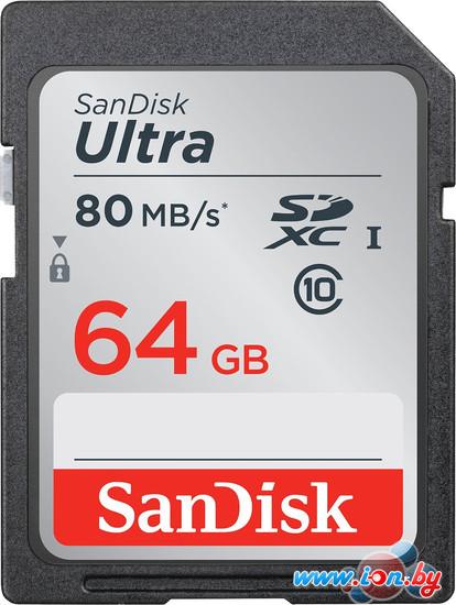 Карта памяти SanDisk SDXC (Class 10) 64GB [SDSDUNC-064G-GN6IN] в Гродно