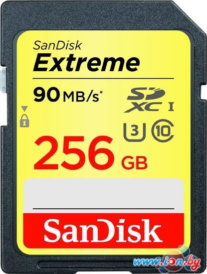 Карта памяти SanDisk Extreme SDXC Class 10 256GB [SDSDXNF-256G-GNCIN] в Могилёве