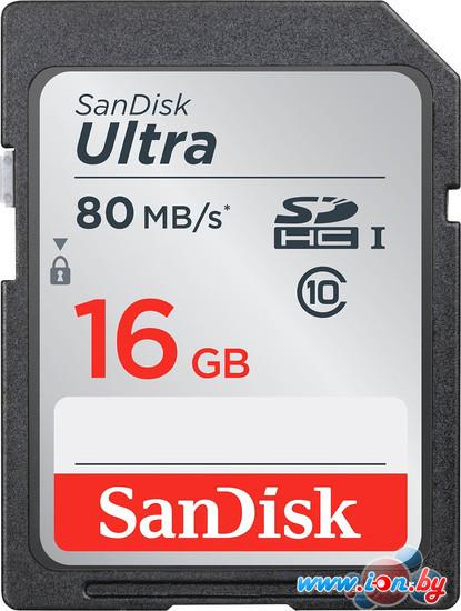 Карта памяти SanDisk SDHC (Class 10) 16GB [SDSDUNC-016G-GN6IN] в Гомеле