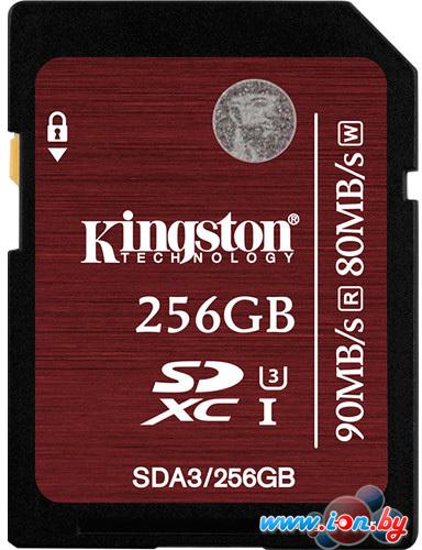 Карта памяти Kingston SDXC UHS-I U3 256GB (SDA3/256GB) в Могилёве