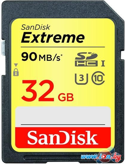 Карта памяти SanDisk Extreme SDHC Class 10 32GB [SDSDXNE-032G-GNCIN] в Могилёве