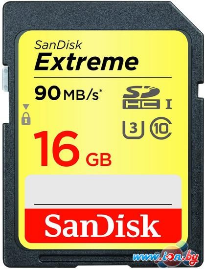 Карта памяти SanDisk Extreme SDHC Class 10 16GB [SDSDXNE-016G-GNCIN] в Витебске