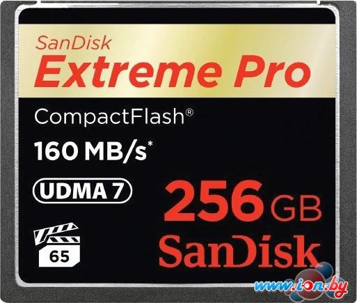Карта памяти SanDisk Extreme Pro CompactFlash 256GB [SDCFXPS-256G-X46] в Могилёве