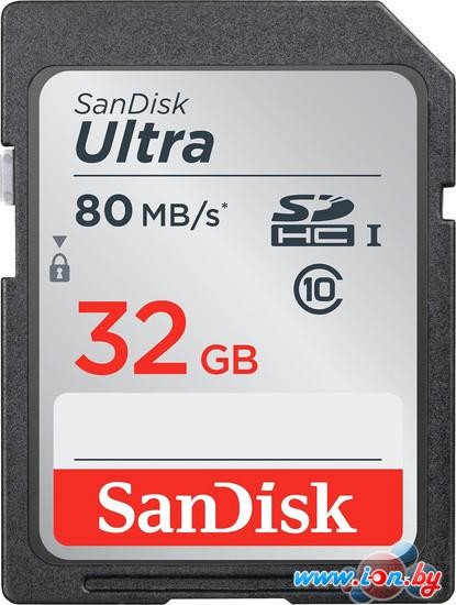 Карта памяти SanDisk SDHC (Class 10) 32GB [SDSDUNC-032G-GN6IN] в Бресте
