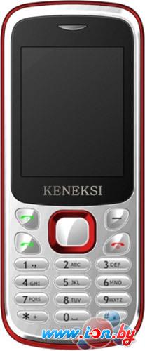 Мобильный телефон Keneksi C2 в Витебске