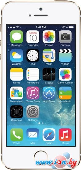 Смартфон Apple iPhone 5s 16GB Gold в Могилёве