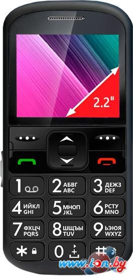 Мобильный телефон Ginzzu R12D Black в Могилёве