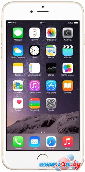 Смартфон Apple iPhone 6 Plus 128GB Gold в Могилёве