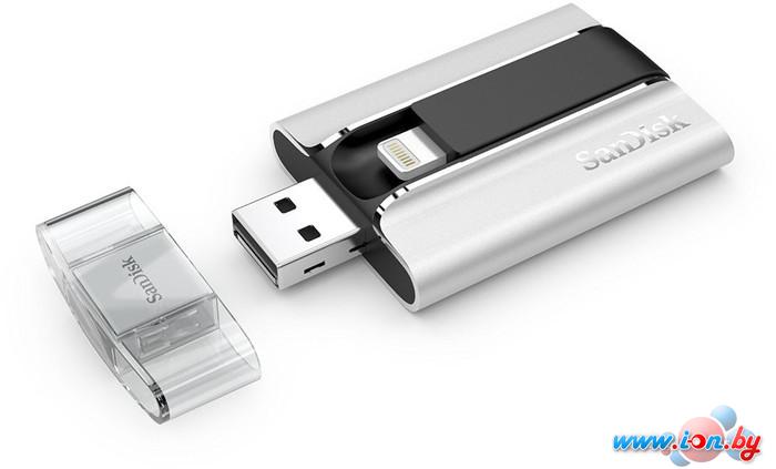 USB Flash SanDisk iXPAND 32GB (SDIX-032G-G57) в Могилёве
