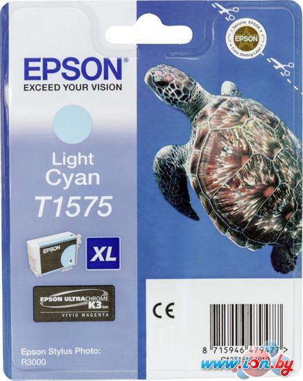 Картридж для принтера Epson C13T15754010 в Могилёве
