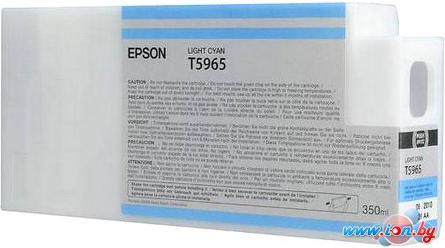 Картридж для принтера Epson C13T596500 в Могилёве