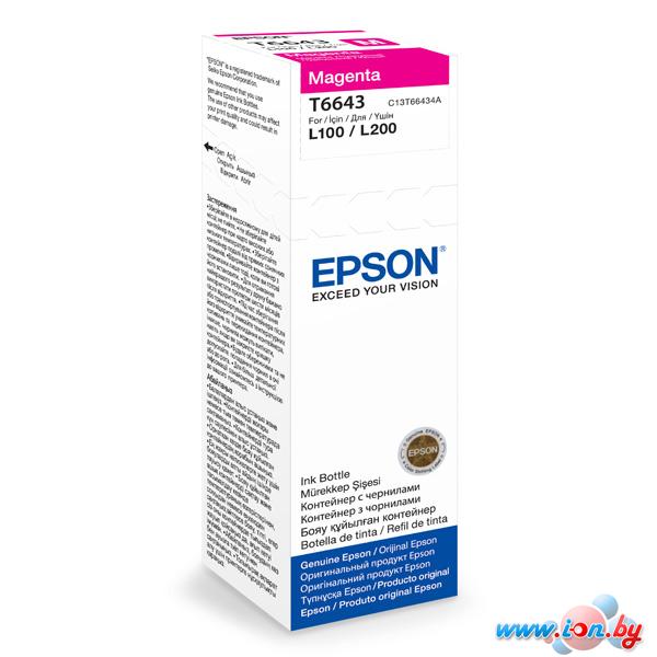 Картридж для принтера Epson C13T66434A в Гомеле