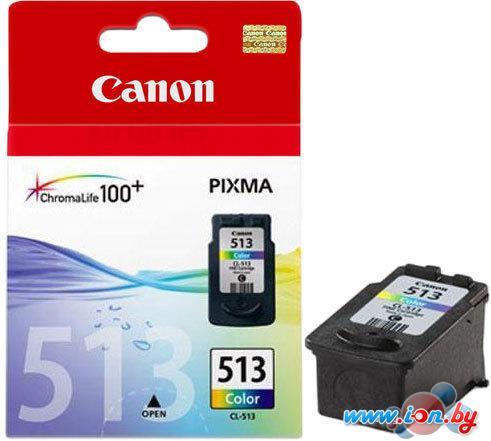 Картридж для принтера Canon CL-513 Color в Бресте