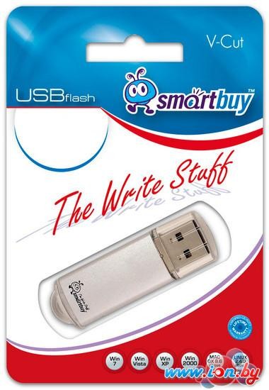 USB Flash SmartBuy V-Cut Silver 32GB в Могилёве