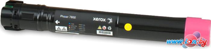Картридж для принтера Xerox 106R01571 в Могилёве