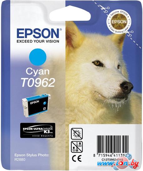 Картридж для принтера Epson C13T09624010 в Могилёве
