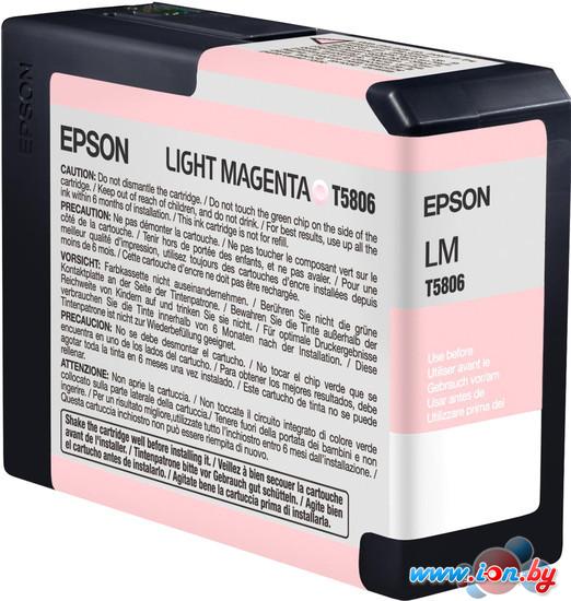 Картридж для принтера Epson C13T580600 в Могилёве