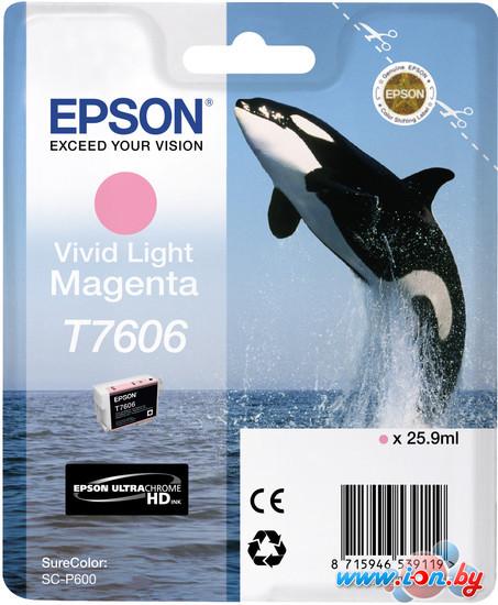 Картридж для принтера Epson C13T76064010 в Могилёве