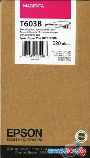 Картридж для принтера Epson C13T603B00 в Могилёве