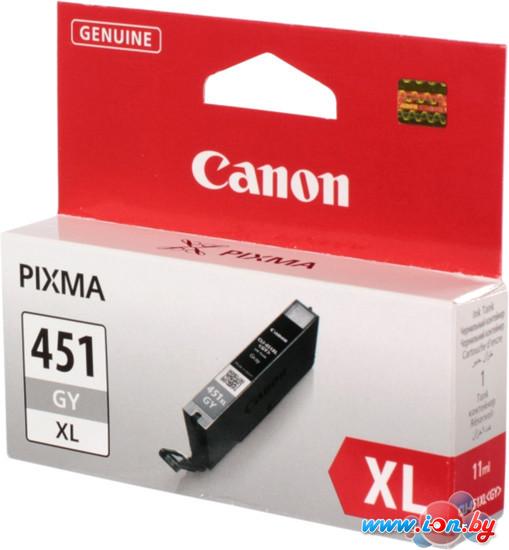 Картридж для принтера Canon CLI-451GY XL (6476B001) в Могилёве