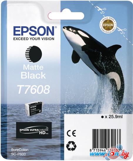 Картридж для принтера Epson C13T76084010 в Могилёве