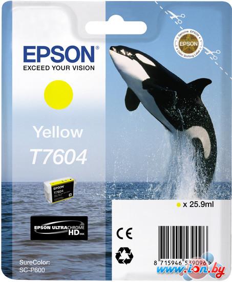 Картридж для принтера Epson C13T76044010 в Могилёве