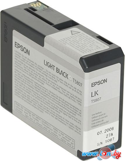 Картридж для принтера Epson C13T580700 в Могилёве