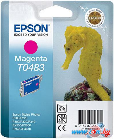 Картридж для принтера Epson EPT04834010 (C13T04834010) в Могилёве