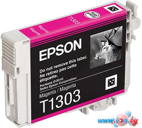 Картридж для принтера Epson C13T13034010 в Могилёве
