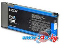 Картридж для принтера Epson C13T544200 в Могилёве