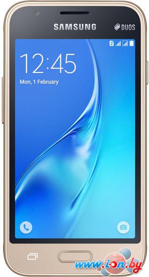 Смартфон Samsung Galaxy J1 mini Gold [J105H] в Гродно