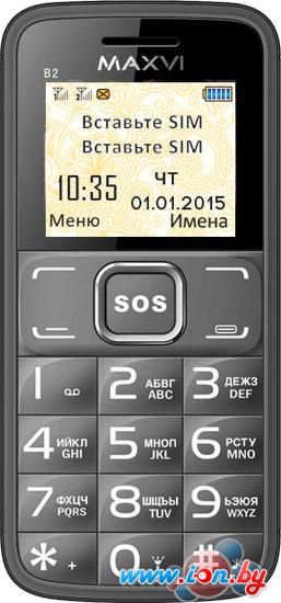 Мобильный телефон Maxvi B2 Grey в Гродно