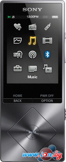 MP3 плеер Sony NW-A25HN 16GB Black в Минске