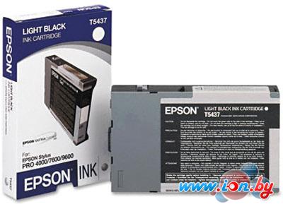 Картридж для принтера Epson C13T543700 в Могилёве