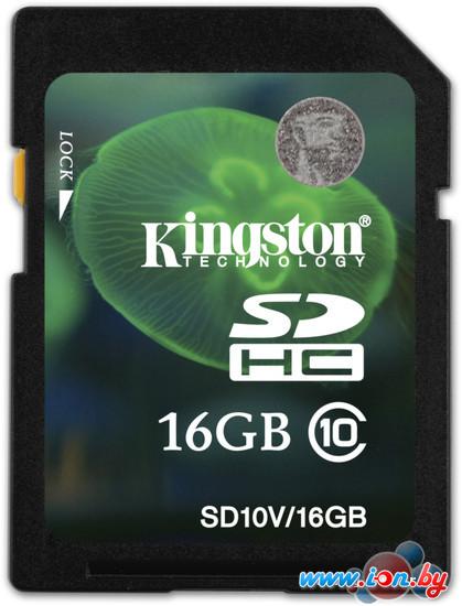 Карта памяти Kingston SDHC (Class 10) 16 Гб (SD10V/16GB) в Гомеле