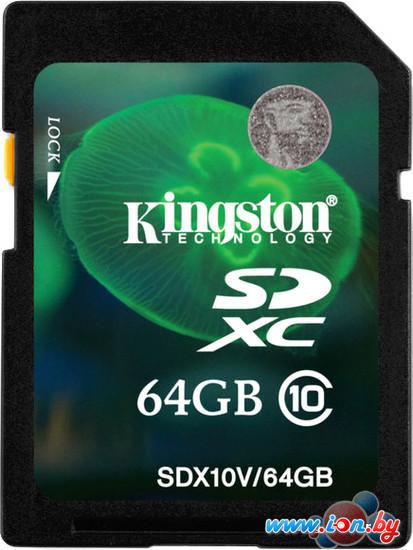 Карта памяти Kingston SDXC (Class 10) 64GB (SDX10V/64GB) в Минске