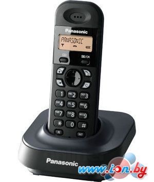 Радиотелефон Panasonic KX-TG1401 в Могилёве