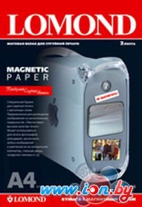 Бумага с магнитным слоем Lomond магнитная матовая А3 620 г/кв.м. 2 листа (2020348) в Могилёве