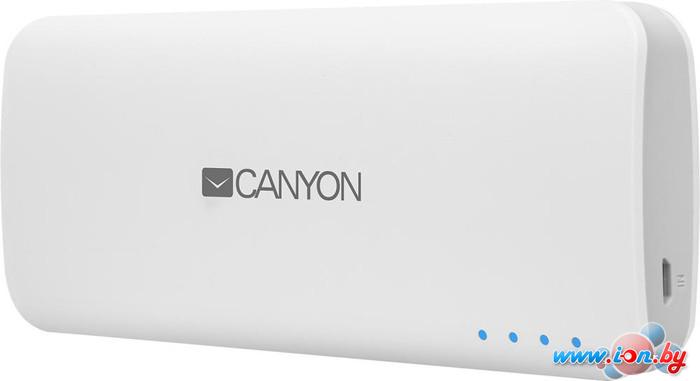 Портативное зарядное устройство Canyon CNE-CPB100 в Могилёве