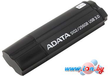 USB Flash A-Data Elite S102 Pro 256GB [AS102P-256G-RGY] в Могилёве
