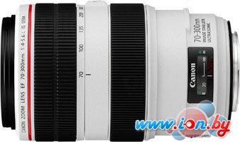 Объектив Canon EF 70-300mm f/4-5.6L IS USM в Гродно